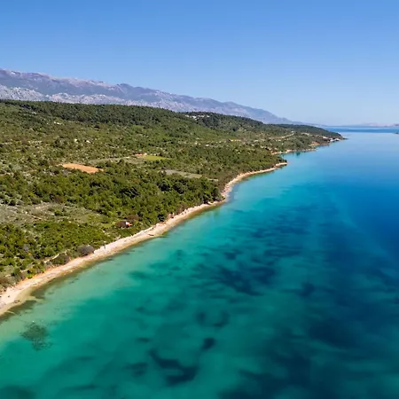 Petar * Barbat na Rabu