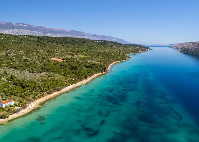 Petar * Barbat na Rabu